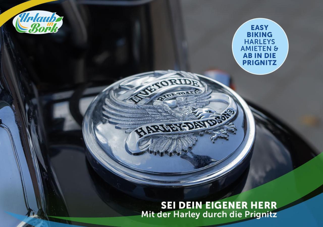 Jagd-Angler-Suite-04-Im-Wald-Am-See Kyritz Exterior foto